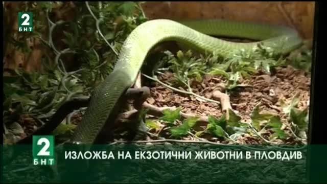 Изложба на екзотични животни в Пловдив