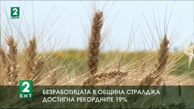 Безработицата в община Стралджа достигна рекордните 19%