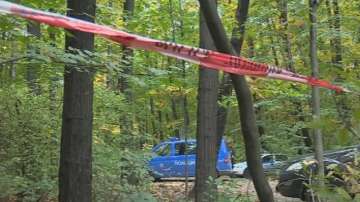 Дърво падна и уби мъж в Борисовата градина (ОБЗОР)