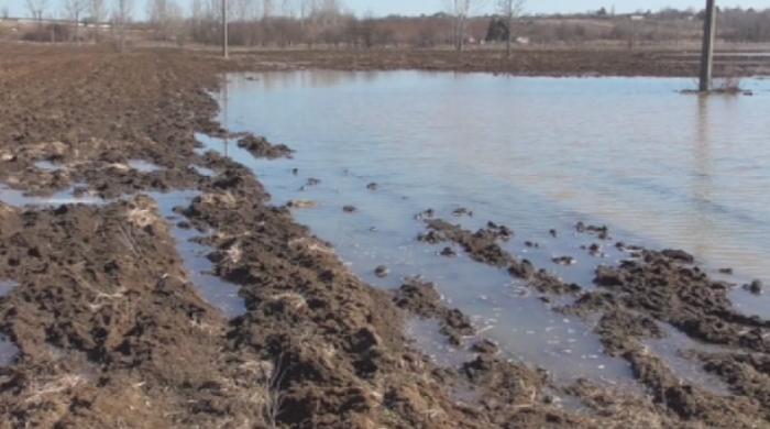 Продължава бедственото положение в община Брегово По света и у нас