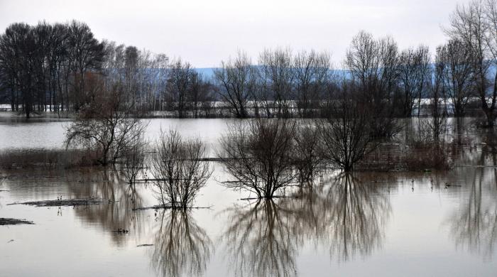 Пети ден продължава бедственото положение в Брегово По света и у нас
