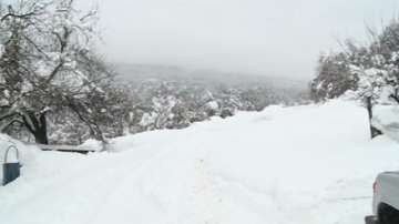 12 души остават блокирани във вилната зона на Брестовица