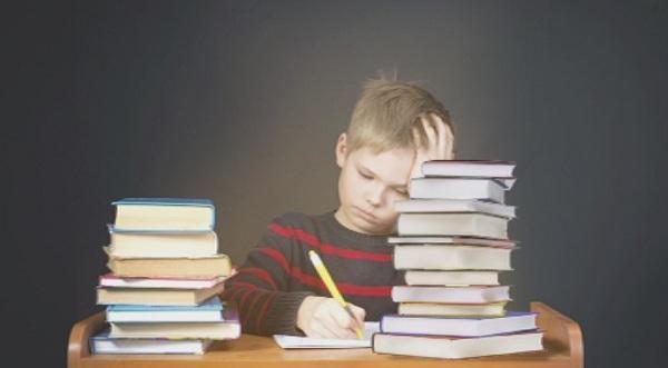 „Галъп“: Почти половината българи не знаят кога се пише пълен и кратък член