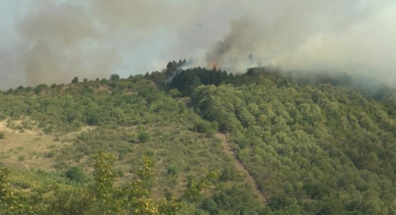 Пожарът във вилната зона край Бургас е потушен