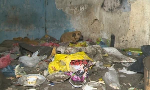 Мизерия в общински жилища в софийския квартал Ботунец 2