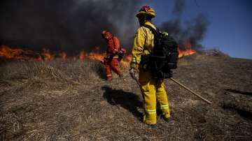  Спасиха библиотеката 