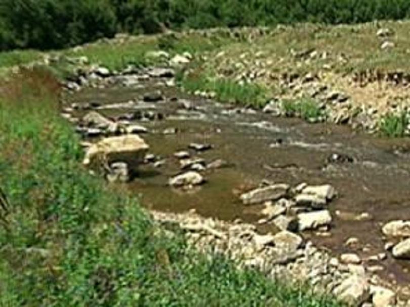 Изхвърлени отпадни води вероятно са убили рибата по река Чепеларска