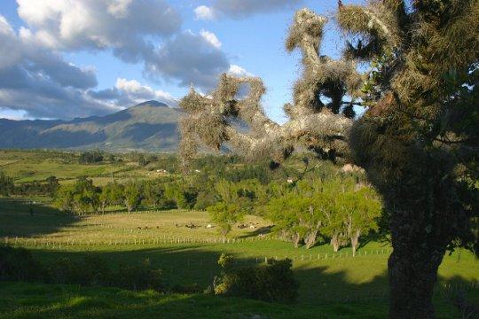 В Колумбия се договориха за селскостопанската реформа