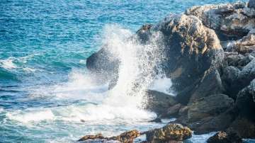 Под вълните на Черно море - поредица на БНТ за непознатия подводен свят