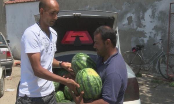  Как да се справим с горещините?