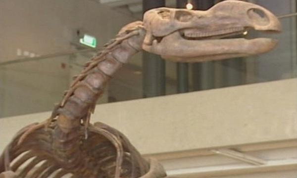  Динозаврите са изчезнали заради лош късмет, твърди ново изследване