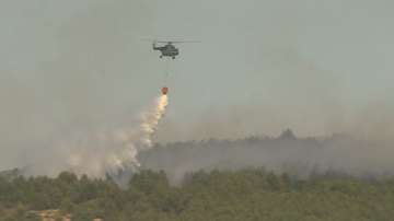 Пожарът край Драгоман е овладян