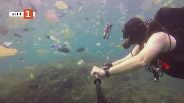 От революционен материал до убиец на моретата потърсиоръжия срещу пластмасовата