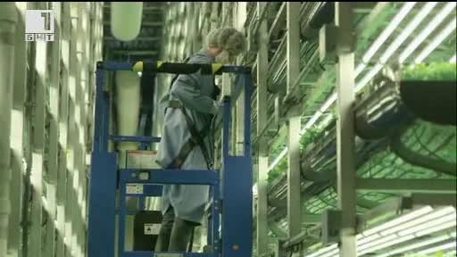 ДРУГИТЕ новини: Храната на бъдещето