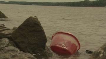 Почистват островите по Дунав край Русе