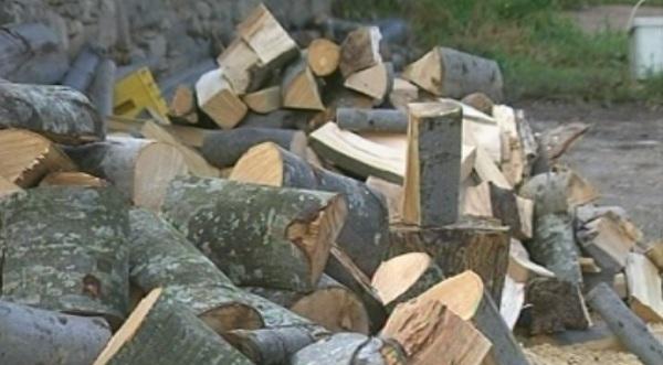 Очакват повишение в цената на дървата за огрев