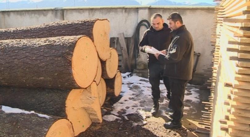 Едва 40% от обектите работят по новата система за следене на пътя на дървесината