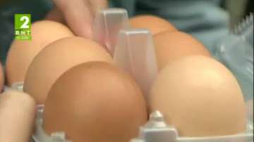 Македония забрани вноса на птиче месо и яйца от България