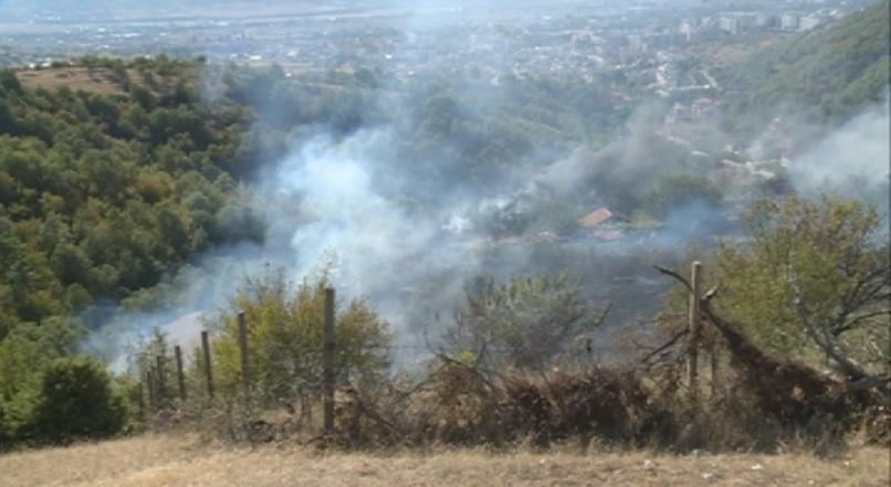 Голям пожар горя край благоевградското село Еленово (ВИДЕО)