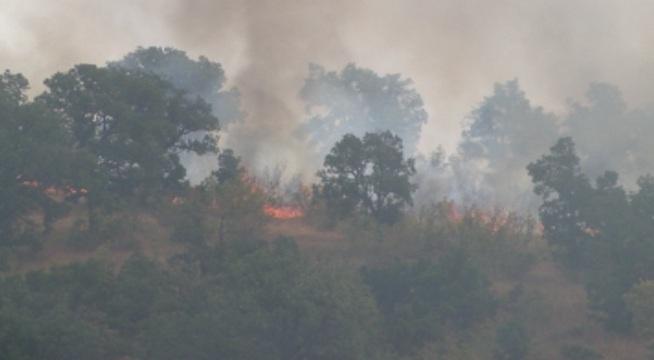 Над 1 000 декара горят край село Брягово