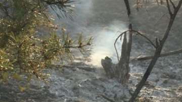 Около 300 декара иглолистна гора и храсти горят в Фролош