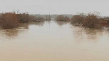 Тревожно е нивото на река Тунджа в Елхово