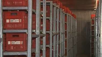 Над 60 хил. образци на семена в единствената у нас растителна генбанка