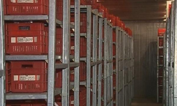 Над 60 хил. образци на семена в единствената у нас растителна генбанка