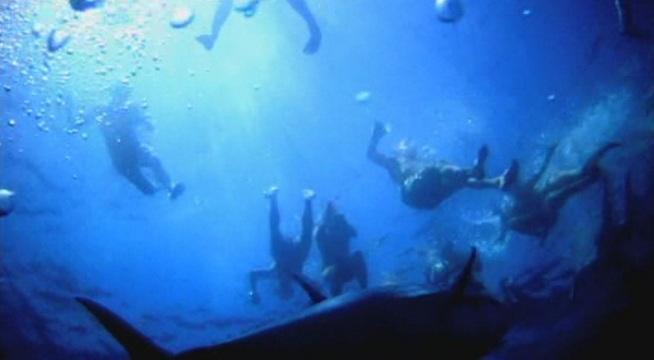 Варненски водолази ни учат на гмуркаме