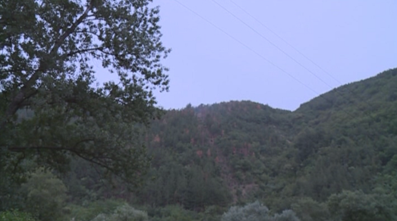 Овладян е пожарът в Кресненското дефиле