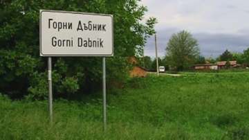 Пораженията в Горни Дъбник