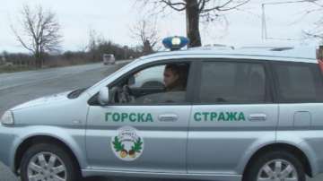 173 мобилни екипа ще проверяват за незаконна сеч преди празниците