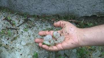 Градушка с големина на детски юмрук в община Кирково