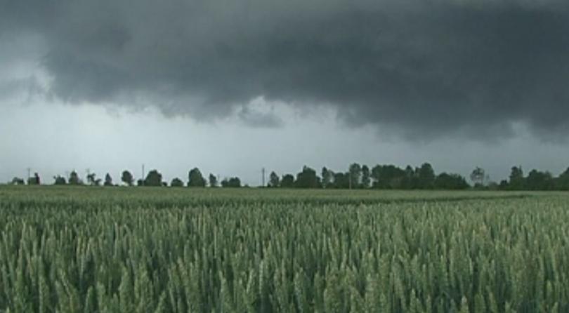 Пълна защита от градушки не е възможна, категорични са експерти