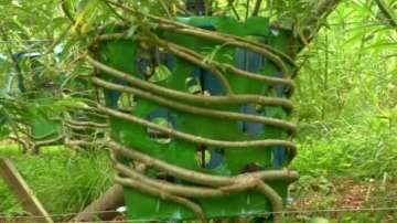 Зелена светлина: Да отгледаш столове и маси