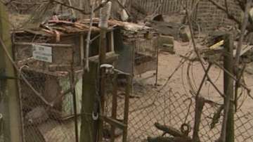 След наводненията в село Гроздьово