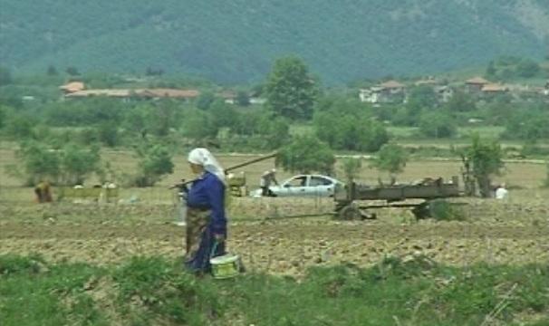 Гурбетчии изхранват село Дебрен