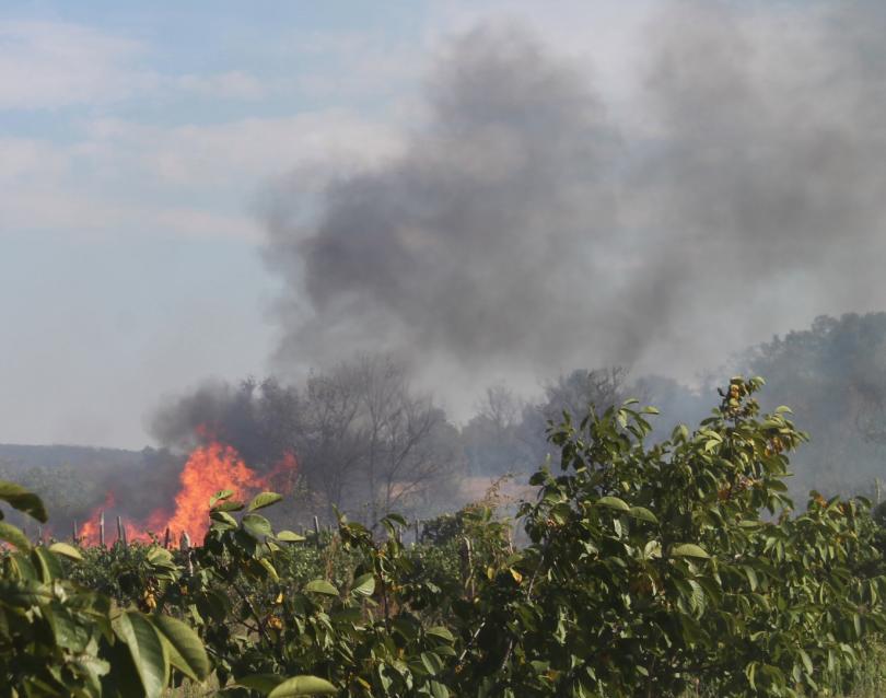 Продължава борбата с огнената стихия в Хасковска област