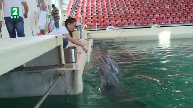 Делфинариумът във Варна ще бъде напълно обновен