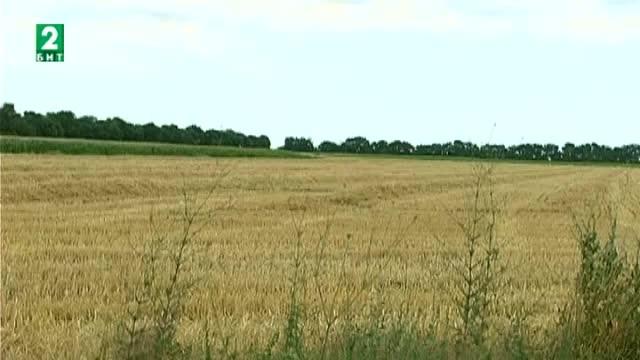 В Балчик се готвят за жътвената кампания