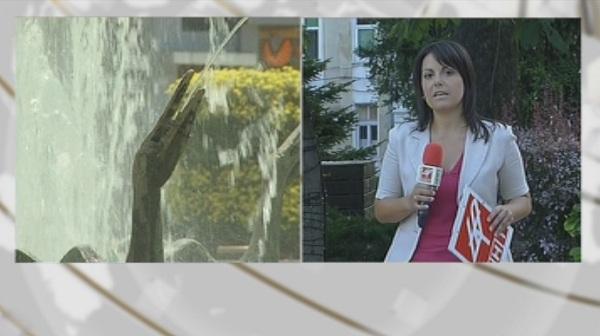 Доброволци помагат на възрастни хора в жегите