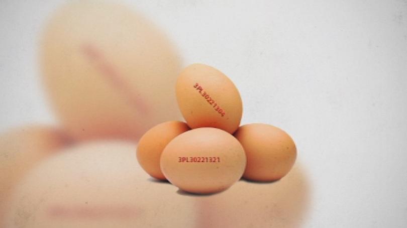Изтеглят от пазара яйца, заразени със салмонела