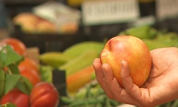 Ръст на чревните инфекции в разгара на отпускарския сезон