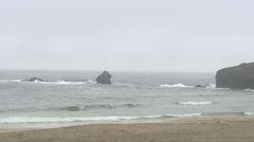 Спират строежа на Корал (ОБЗОР)