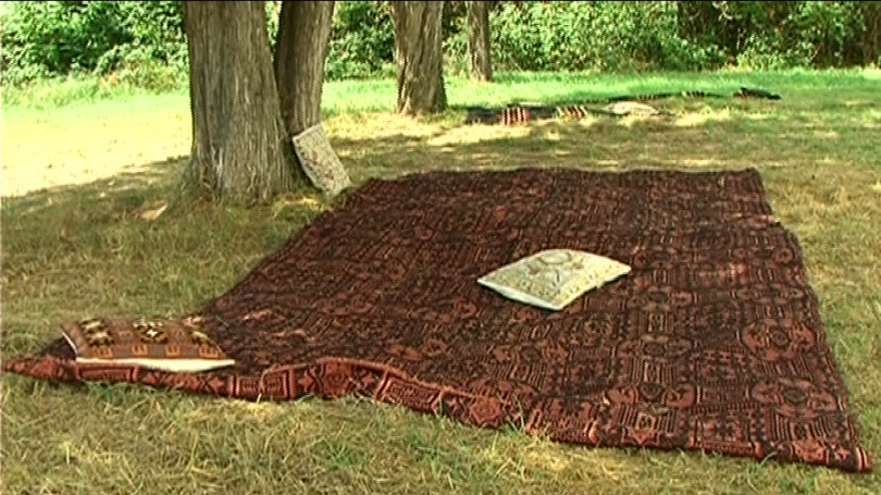 Провокацията на изложбата „Закуска на тревата” от село Стоките