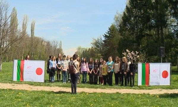 Японска фиеста в столичния Южен парк - Сакура