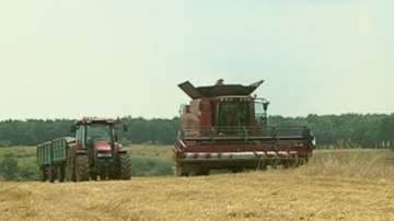 Тема с продължение: Лошото време бави жътвата на пшеница