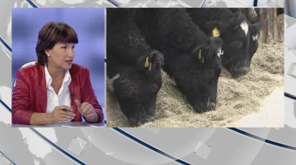 Мерките срещу болести по животните