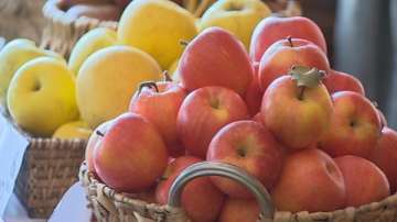 Достъп до добра храна показва как да стигнем до качествените продукти