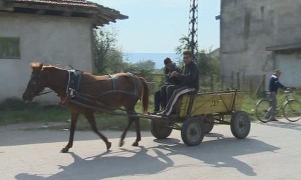 Долни Цибър - селото, в което нито един човек не отиде до урните (ОБЗОР)